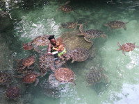 /album/fotogaleria-zanzibar-zajazd-vy-a-my1/zanzibar-zajazd-dovolenka-29-jpg1/